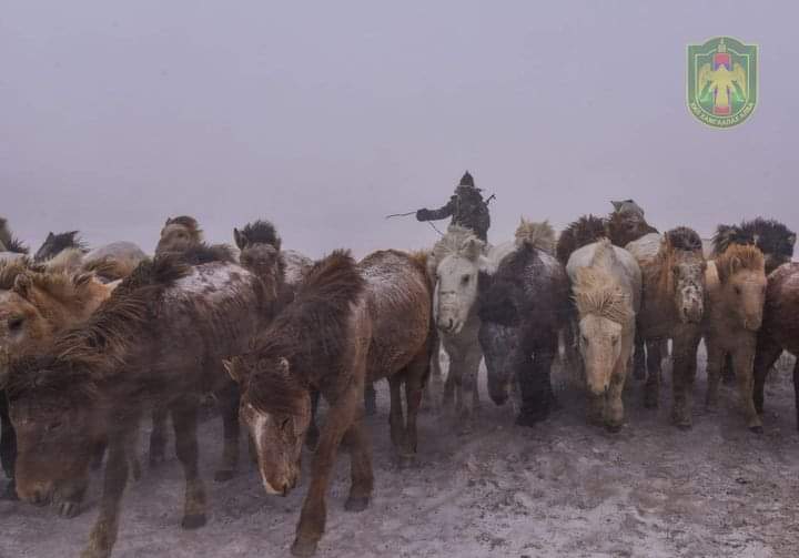 Иргэдэд учирч болох 865 сая төгрөгийн хохирлоос урьдчилан сэргийллээ