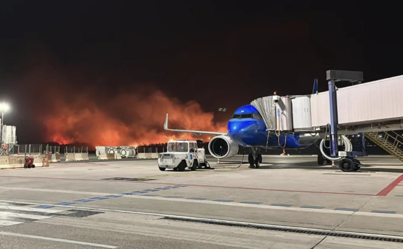 Италийн түймрийн улмаас Сицилийн нисэх онгоц хаагджээ