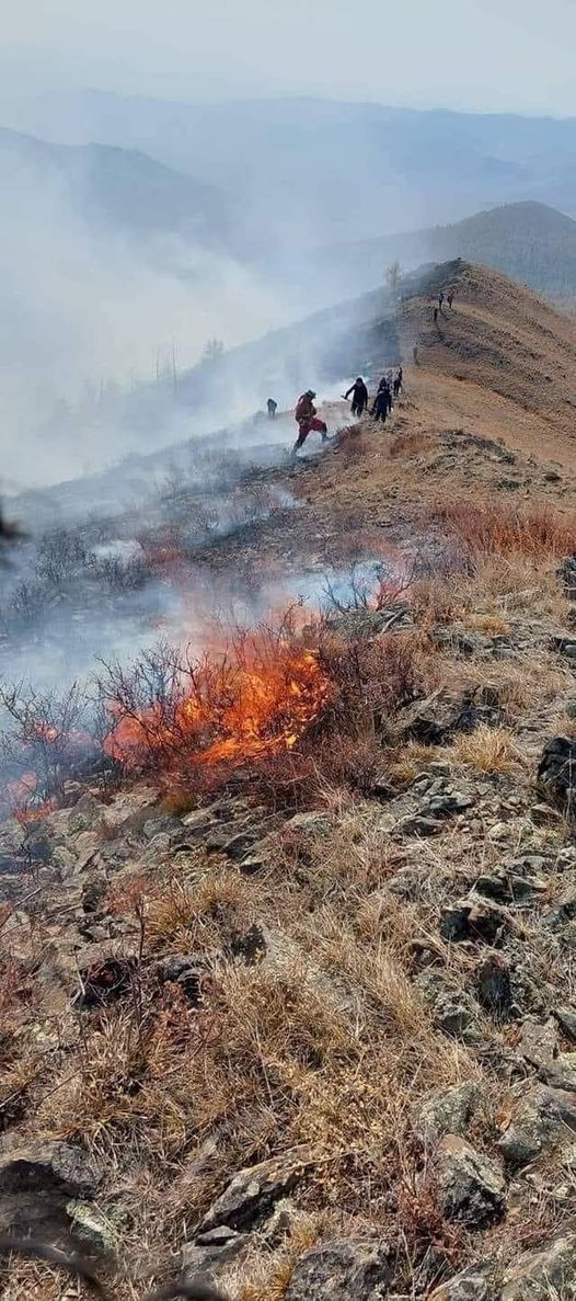 Хөвсгөл аймгийн хоёр суманд гарсан ойн түймрийг унтраахаар ажиллаж байна