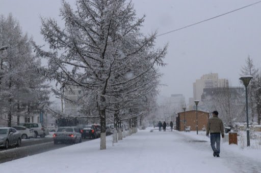 ЦАГ АГААР: Улаанбаатарт цас орж, зөөлөн цасан шуурга шуурна